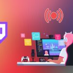 Twitch Streaming Statistics